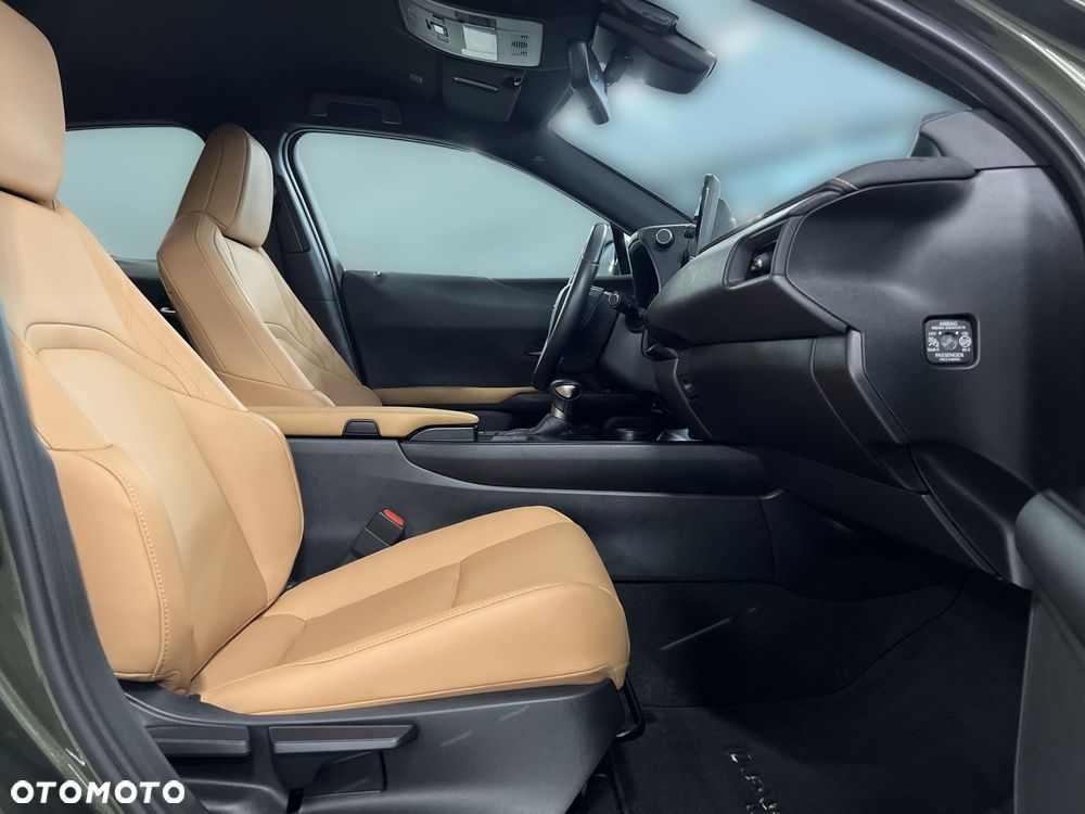 Lexus UX 250h GPF F Sport Design 2WD - 9