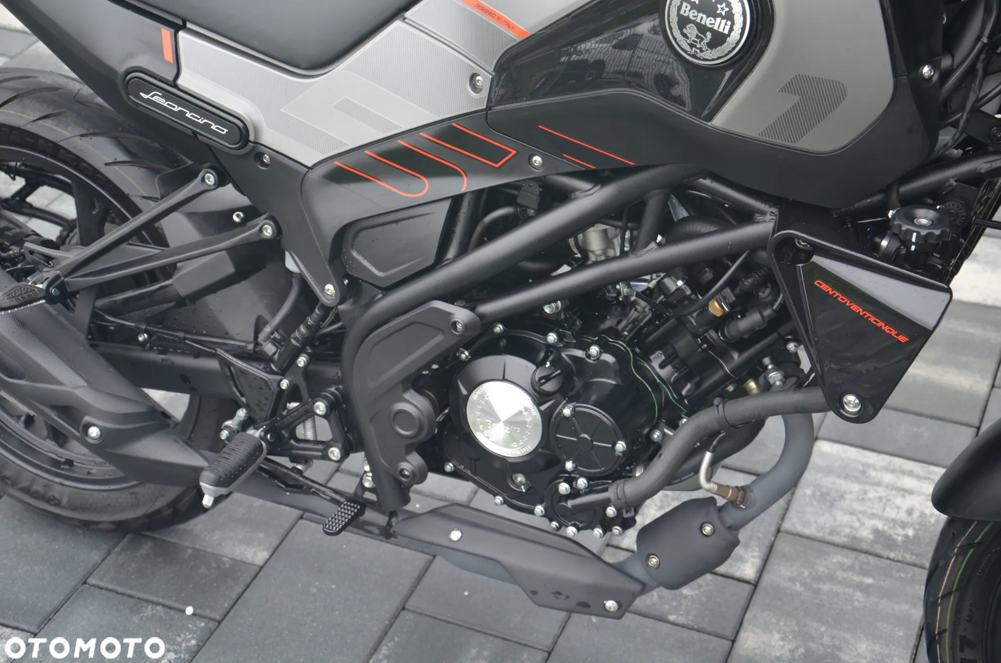 Benelli Leoncino - 5
