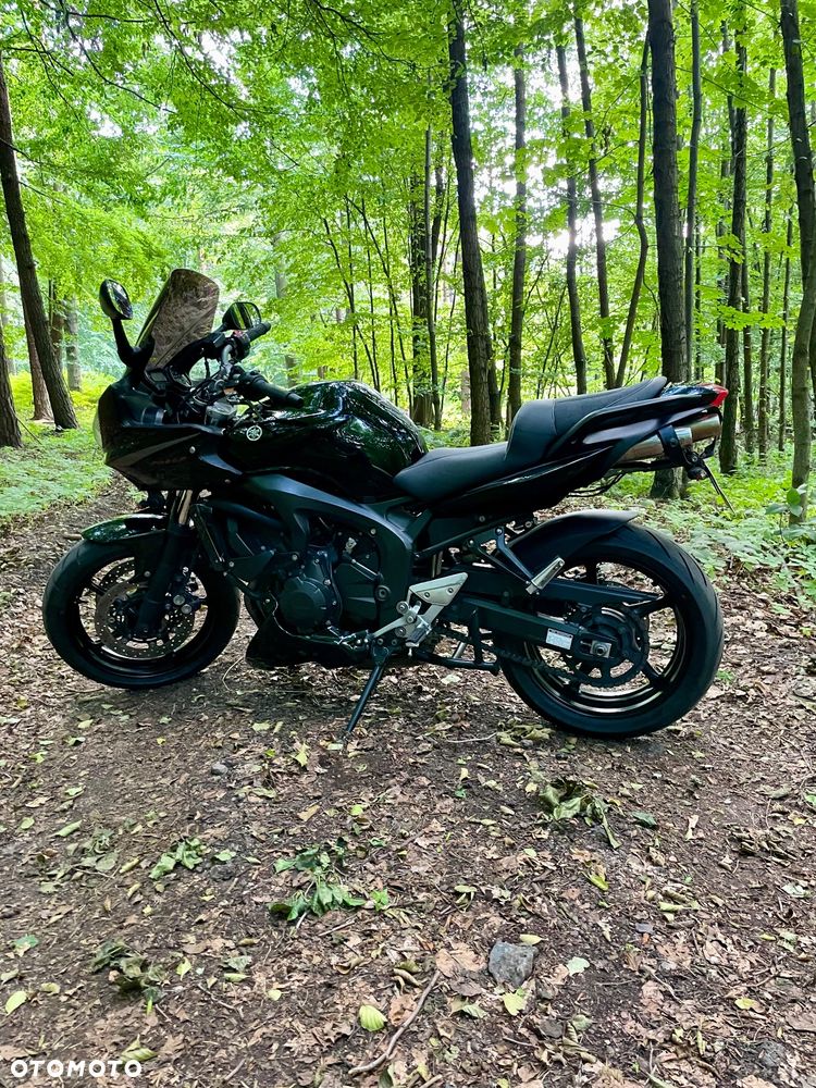 Yamaha FZ6 - 9