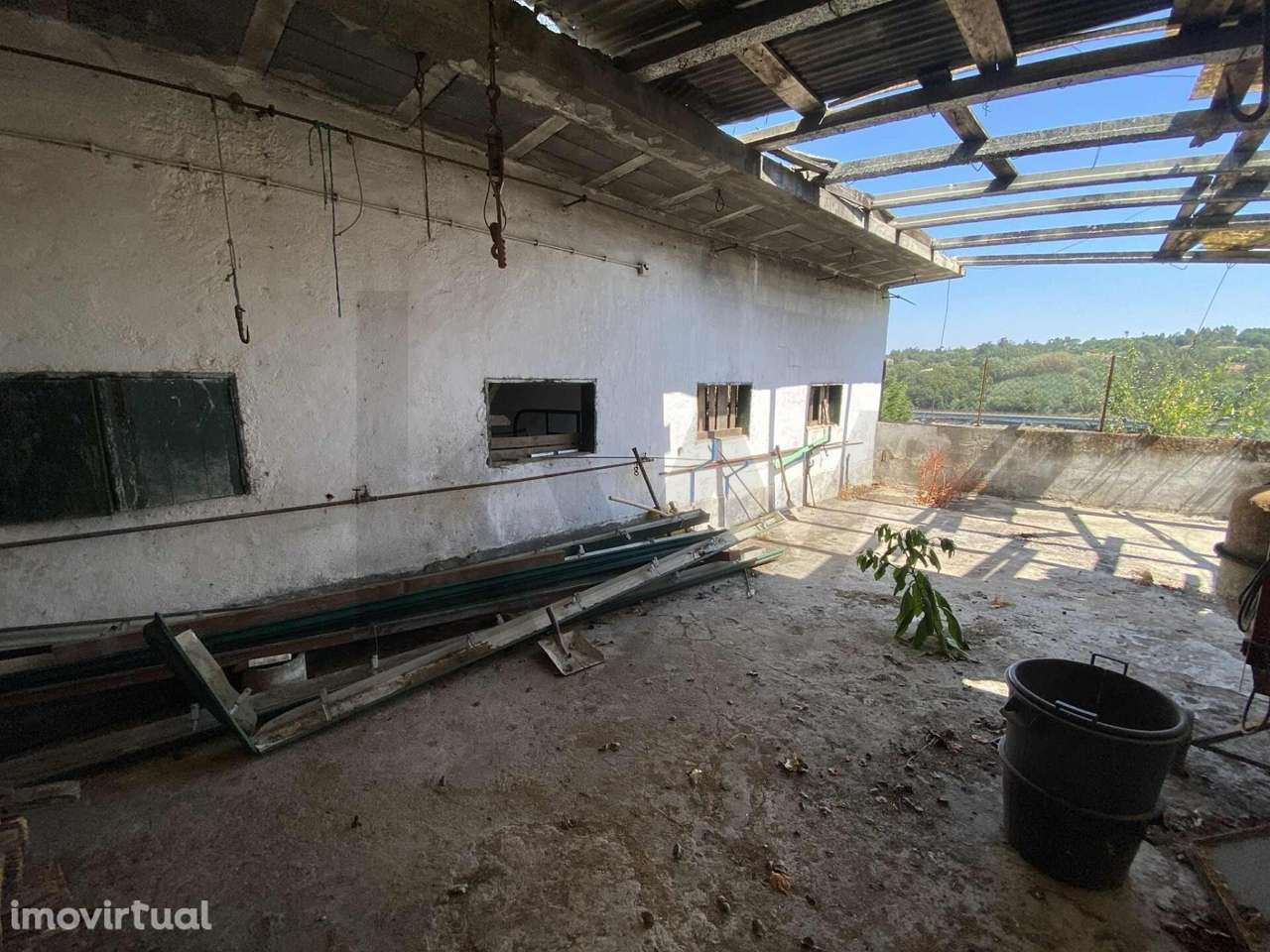 Imóvel Singular sobre Penedo – Santa Comba Dão - Grande imagem: 4/34