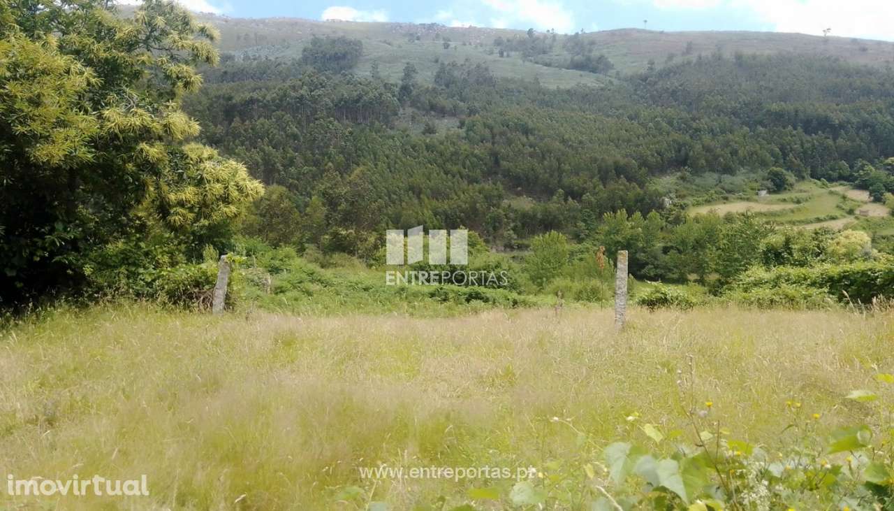 Venda Terreno, Santiago de Piães, Cinfães - Grande imagem: 4/40