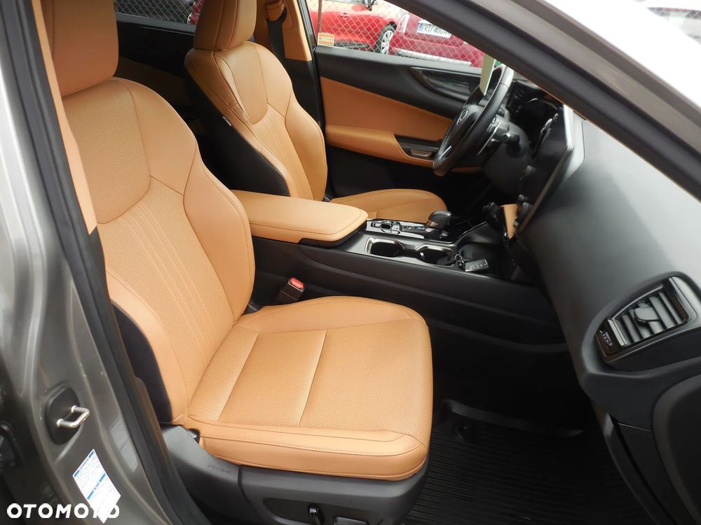 Lexus NX - 11