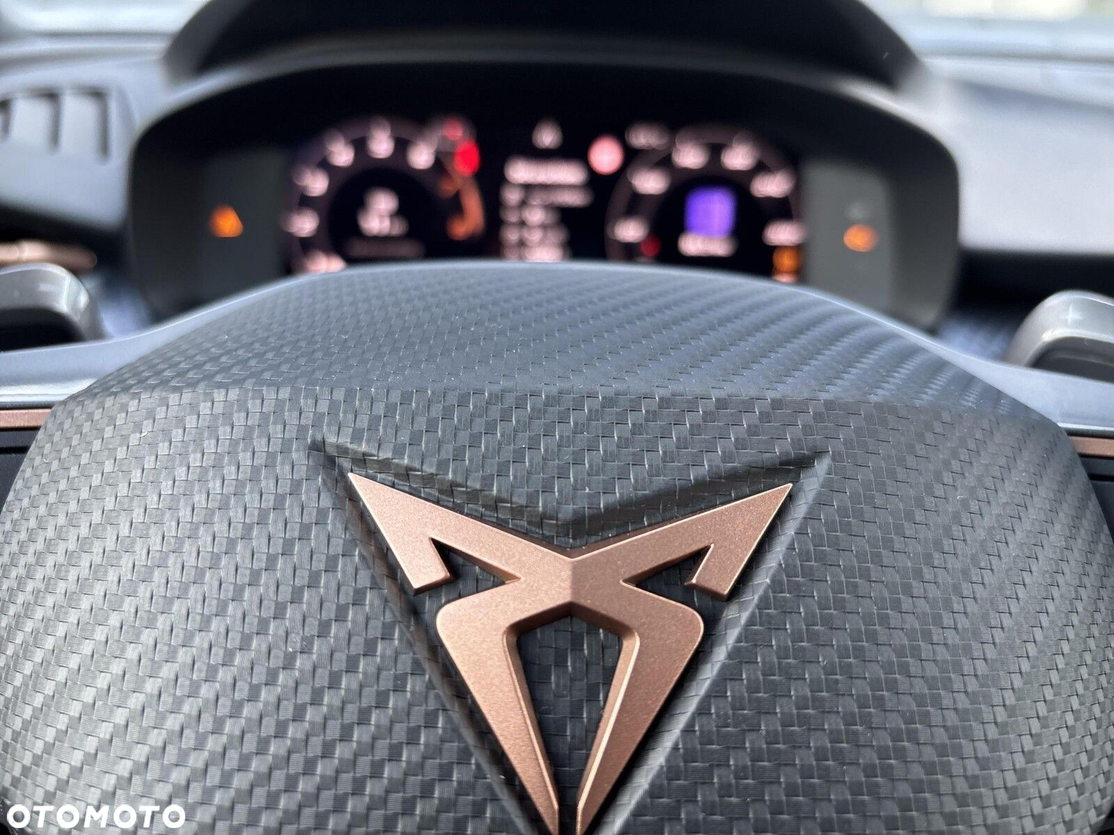 Cupra Terramar 2.0 TSI 4Drive Advantage Edition DSG - 22