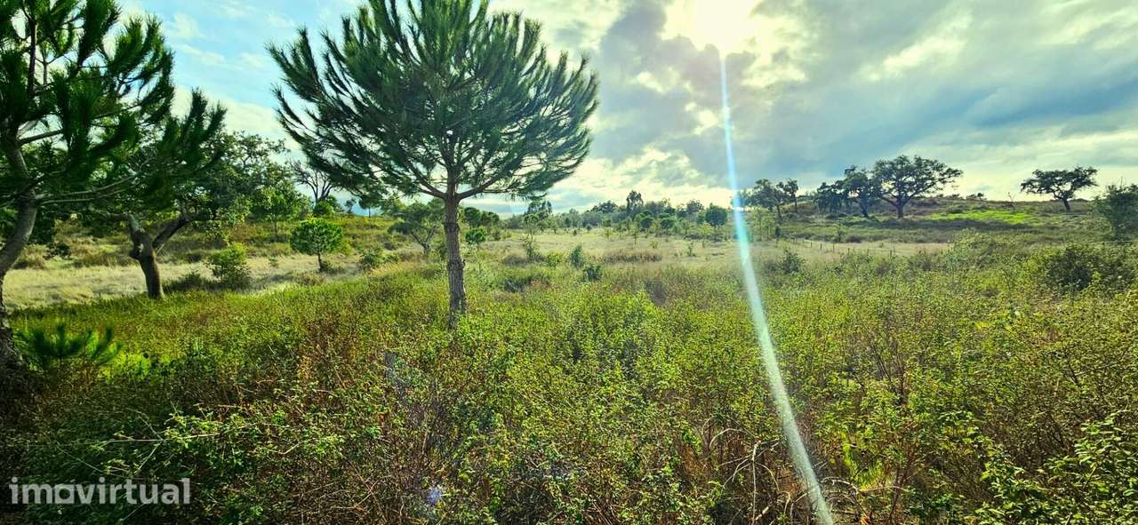 Refúgio em Grândola: 4,5 Hectares com Viabilidade, Nascente e Proximid - Grande imagem: 2/32