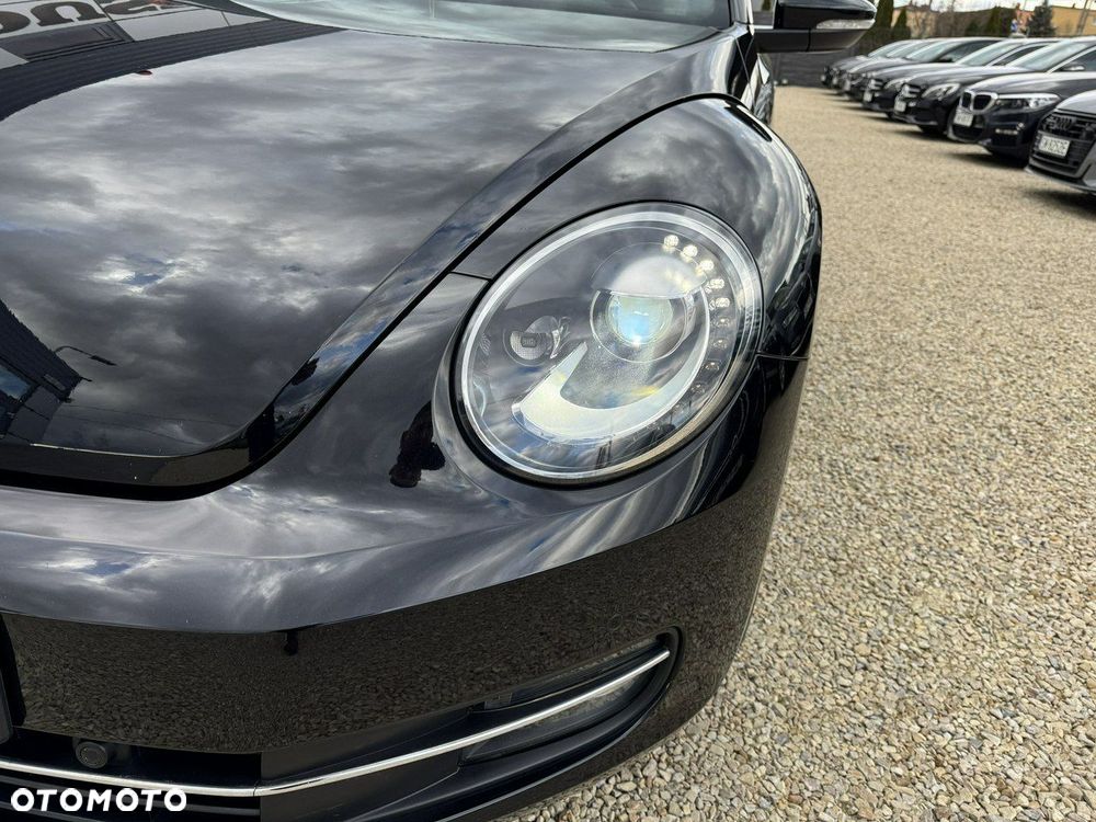 Volkswagen Beetle - 12