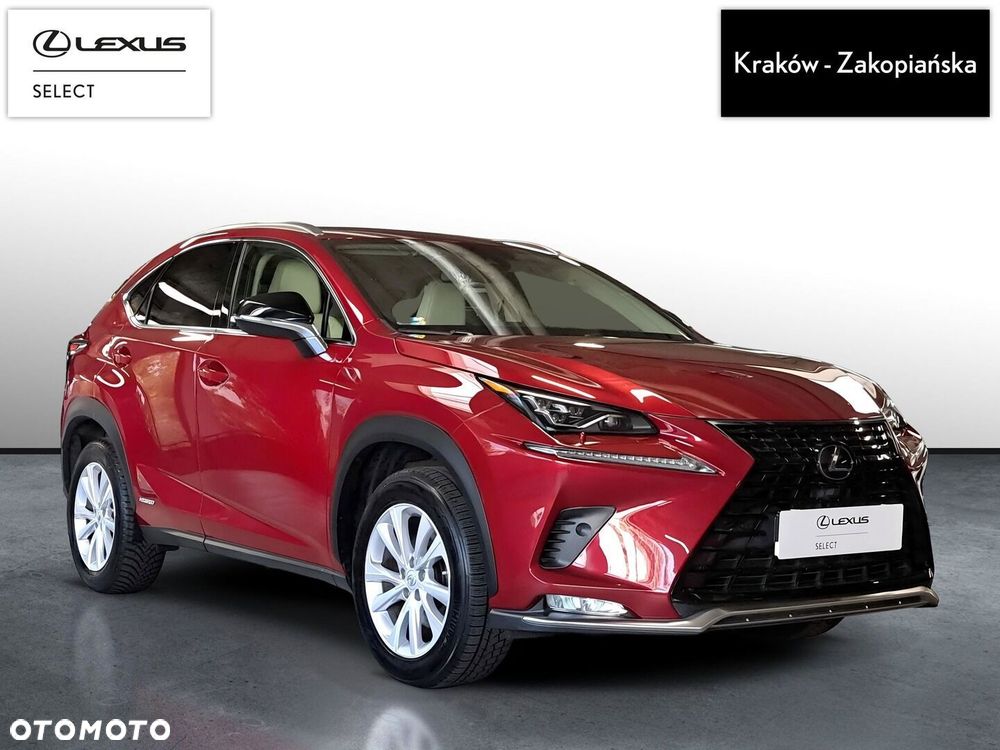 Lexus NX 300h F Impression AWD - 4
