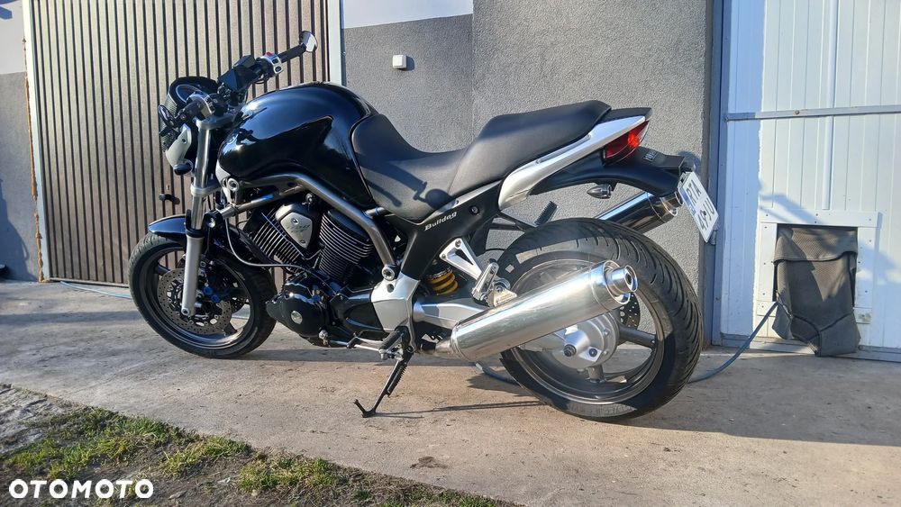 Yamaha Bulldog - 16