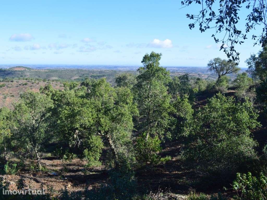 Terreno com duas ruínas registadas como artigos urbanos, Almodôvar,... - Grande imagem: 4/51