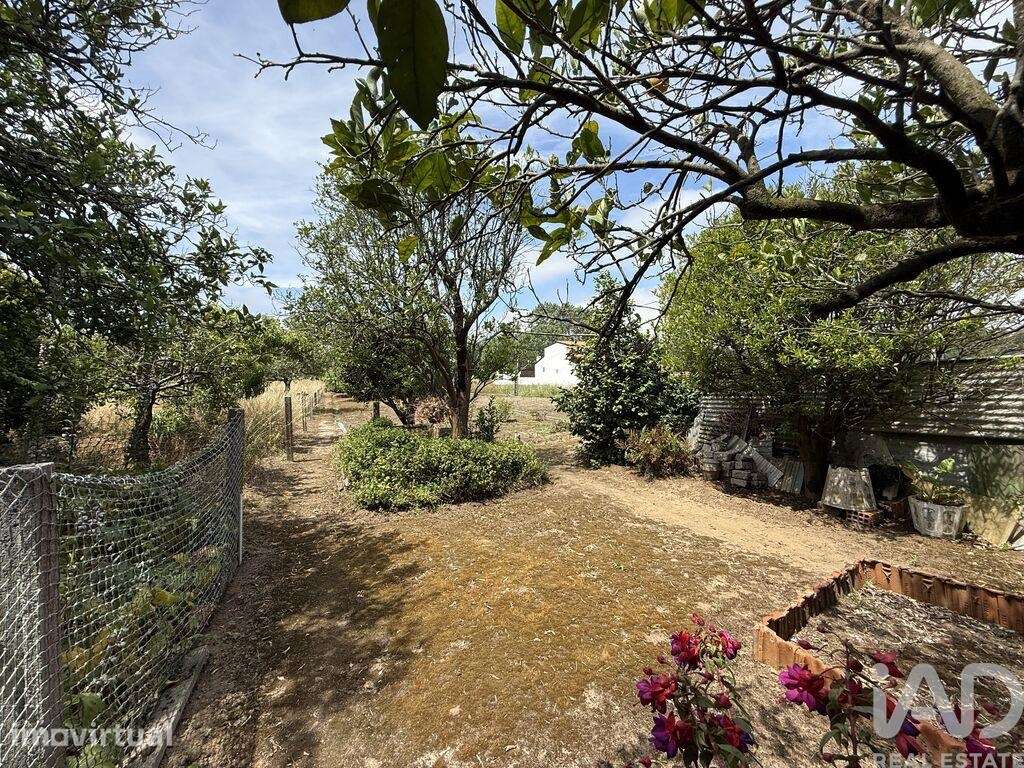 Casa / Villa T4 em Requeixo, Nossa Senhora de Fátima e Nariz de 150 m2 - Grande imagem: 5/40