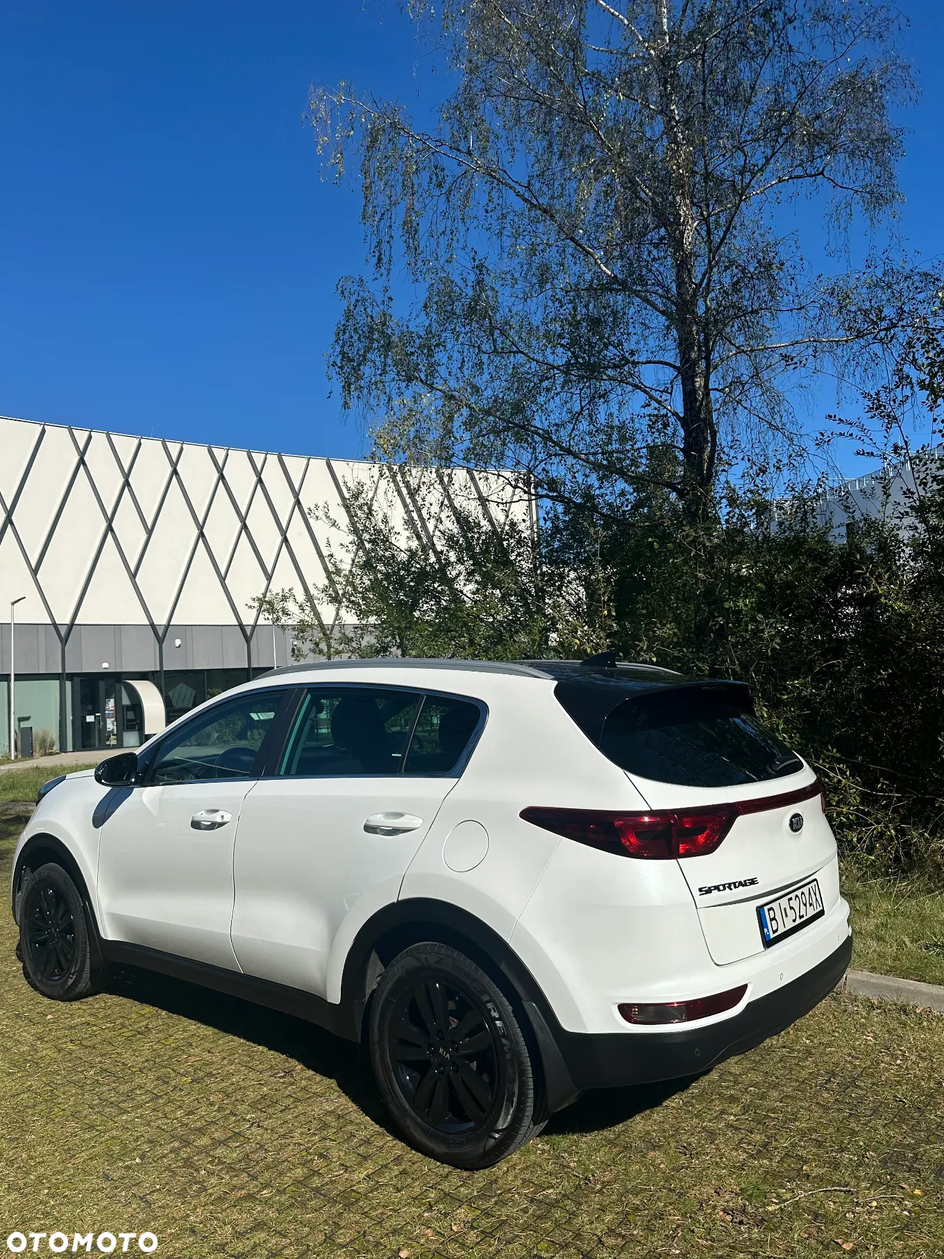 Kia Sportage 1.6 GDI Business Line 2WD - 39