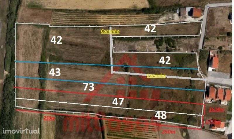 Terreno entre a cidade e as praias com 3720m2 - Grande imagem: 2/34
