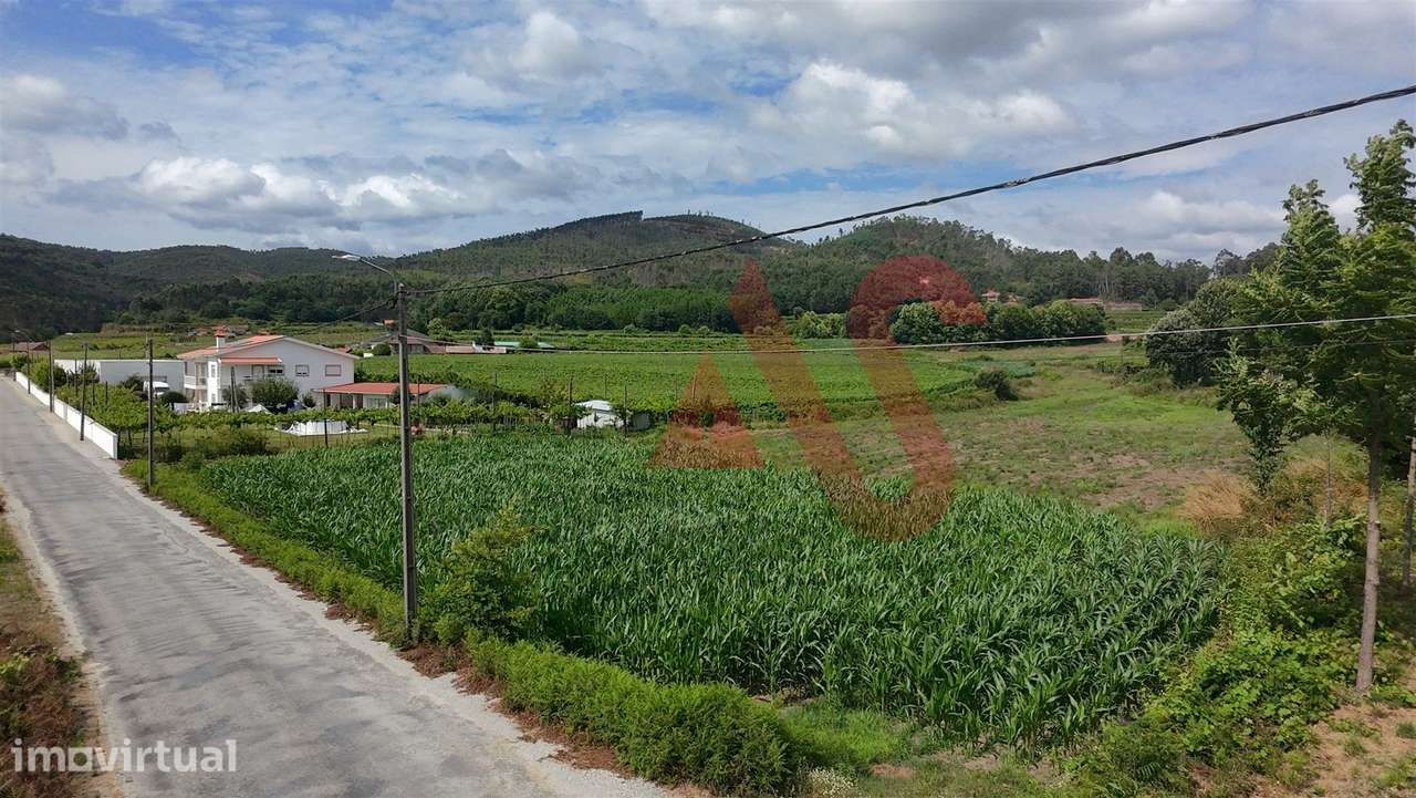 Terreno Agrícola com 2460m2 em Silvares, Lousada - Grande imagem: 2/4