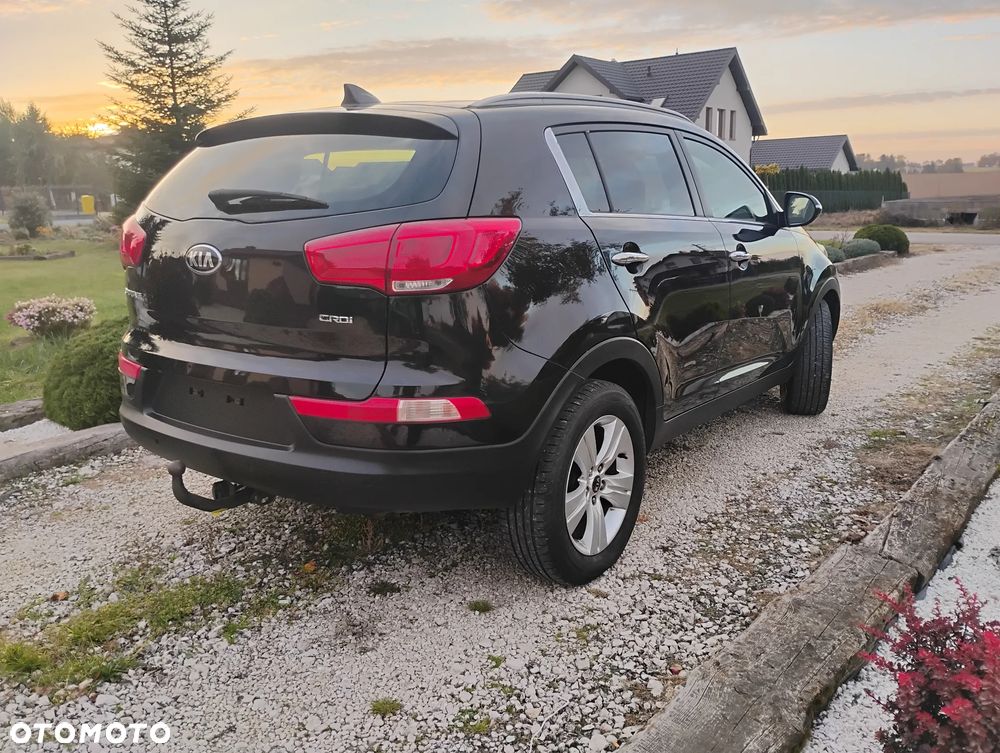 Kia Sportage 2015 photo 3