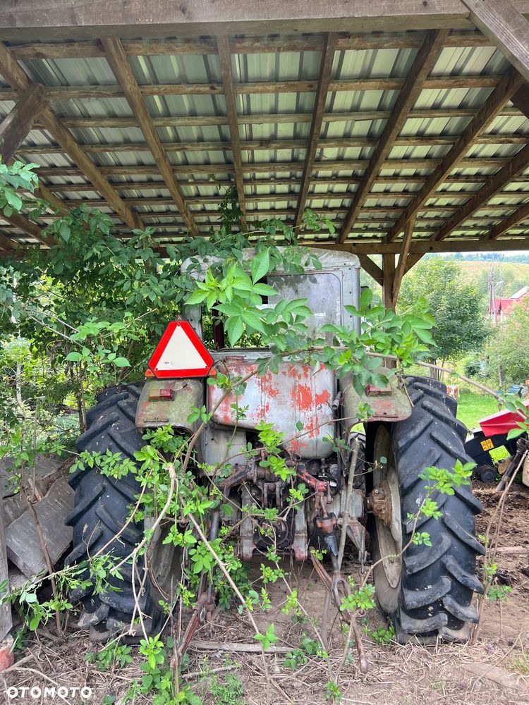 Belarus Belarus MTZ - 5