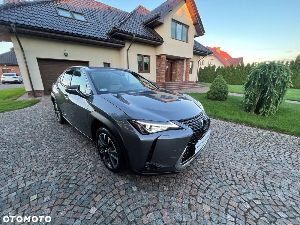 Lexus UX 250h Elegance 2WD - 7