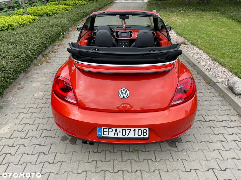 Volkswagen Beetle - 6