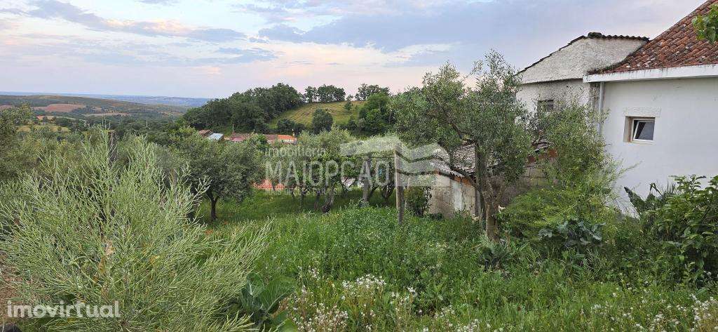 Casa à Venda em Vilar de Rei – Mogadouro - Grande imagem: 3/20