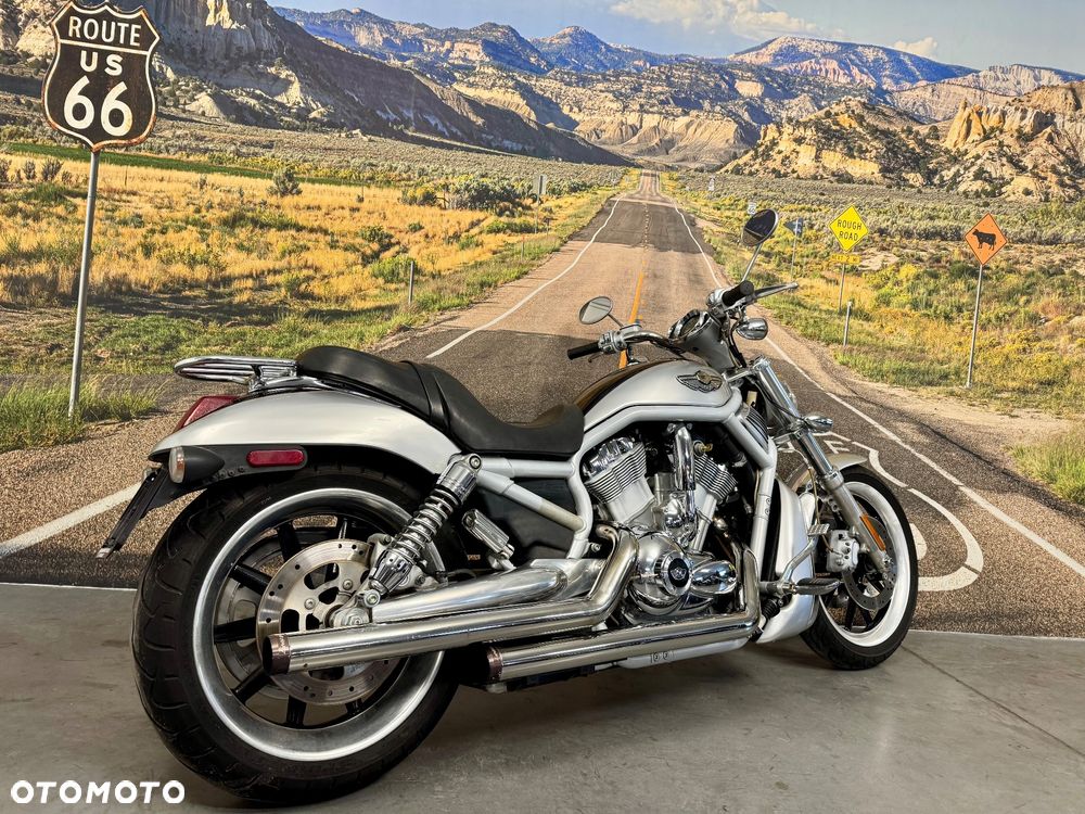 Harley-Davidson V-Rod Street Rod - 4