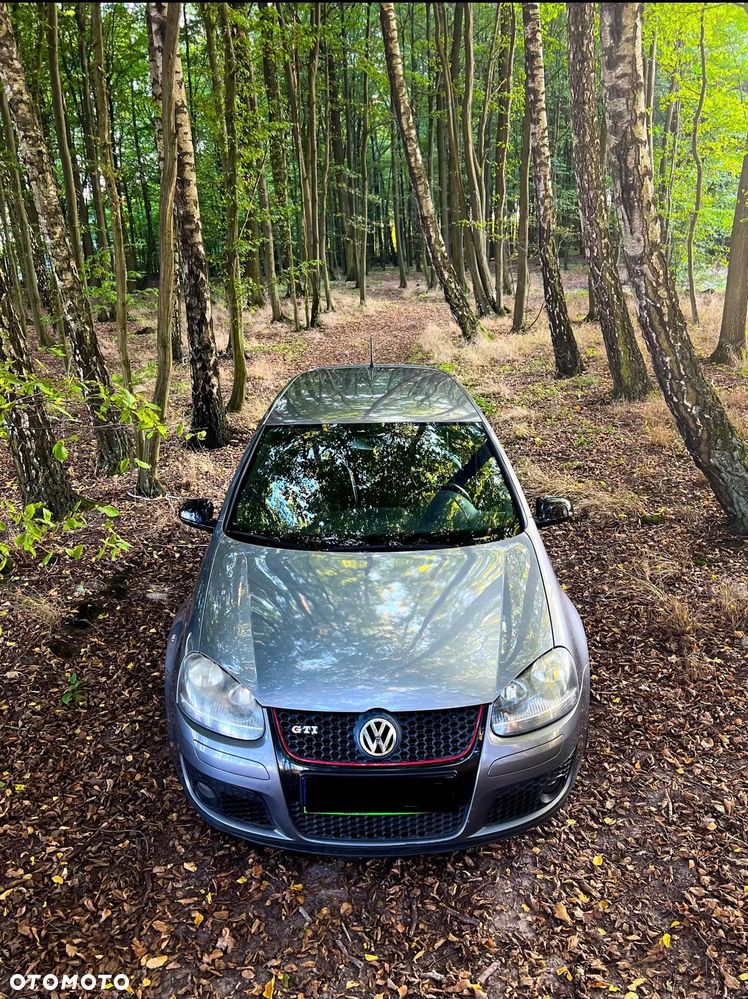 Volkswagen Golf 2.0 TSI GTI - 2