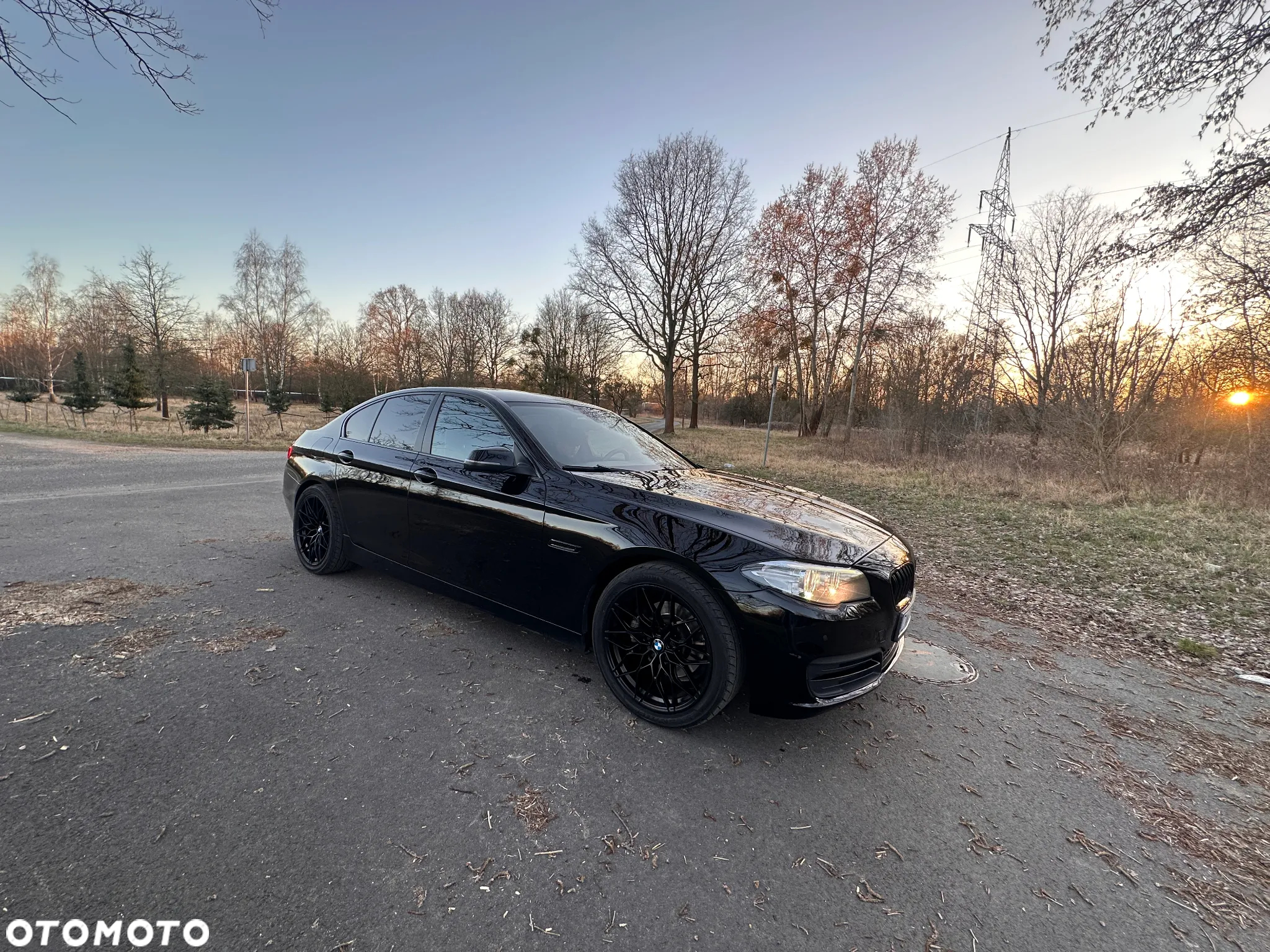 BMW Seria 5 518d Luxury Line - 7