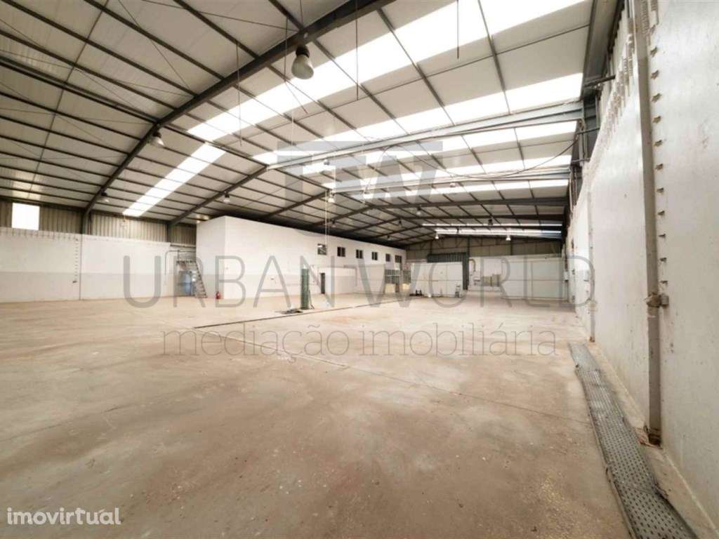 Armazém, Salvaterra de Magos - Santarém, 3.026 m2 - Grande imagem: 3/30