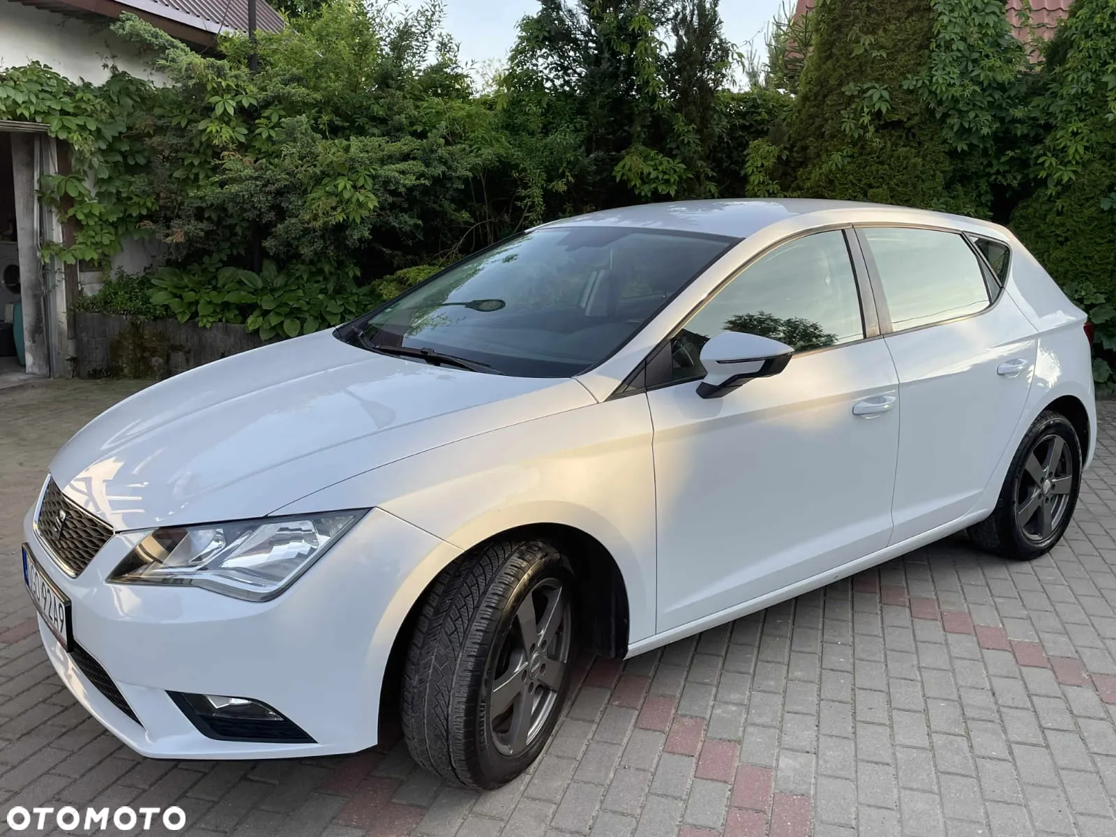 Seat Leon 1.6 TDI Ecomotive Style S&S - 3