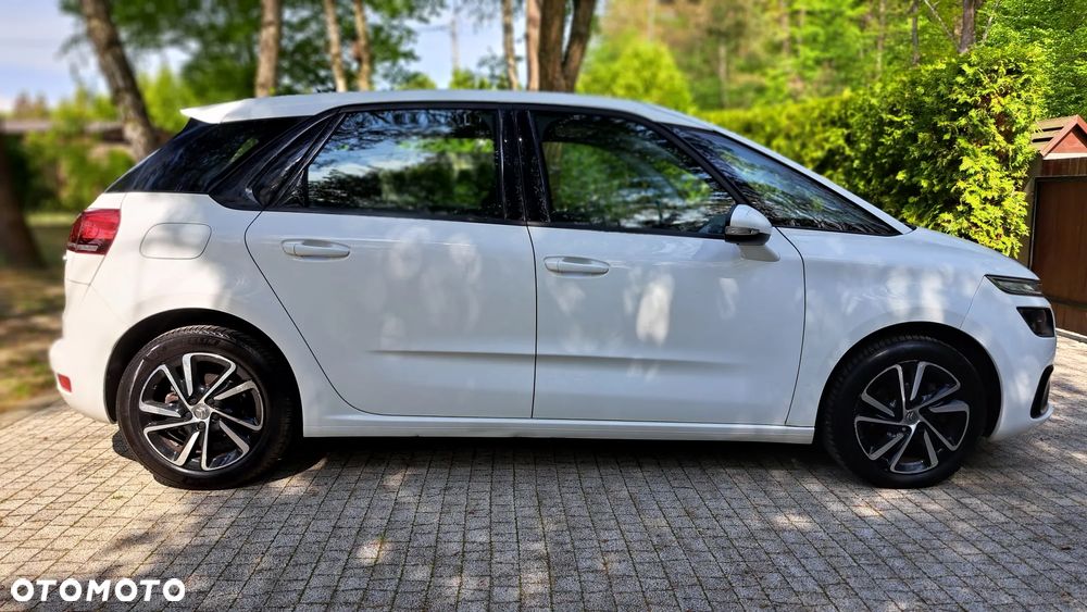 Citroën C4 Picasso BlueHDi 120 EAT6 Business Class - 10