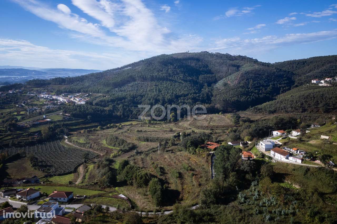 Quinta em Baltar com 35 Hectares de Terreno - Grande imagem: 4/52