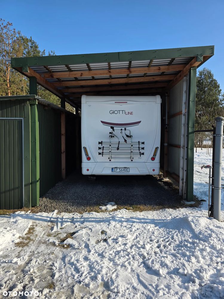 Giottiline Siena - 4