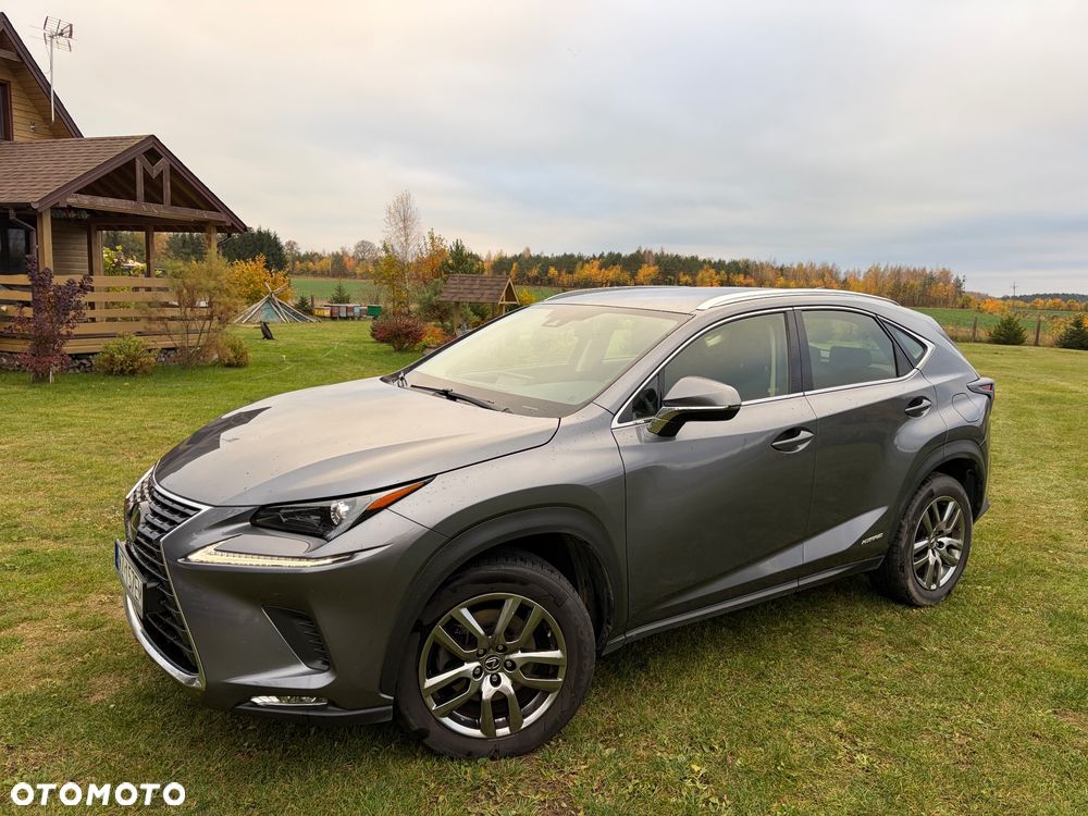 Lexus NX - 7