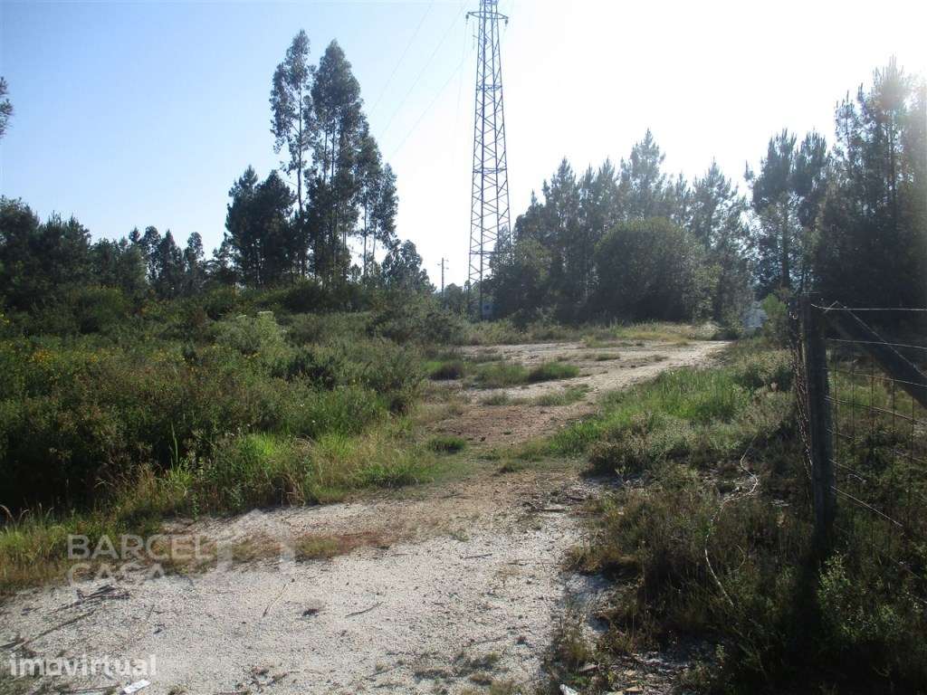 Terreno industrial na Ucha - Barcelos - Grande imagem: 3/7
