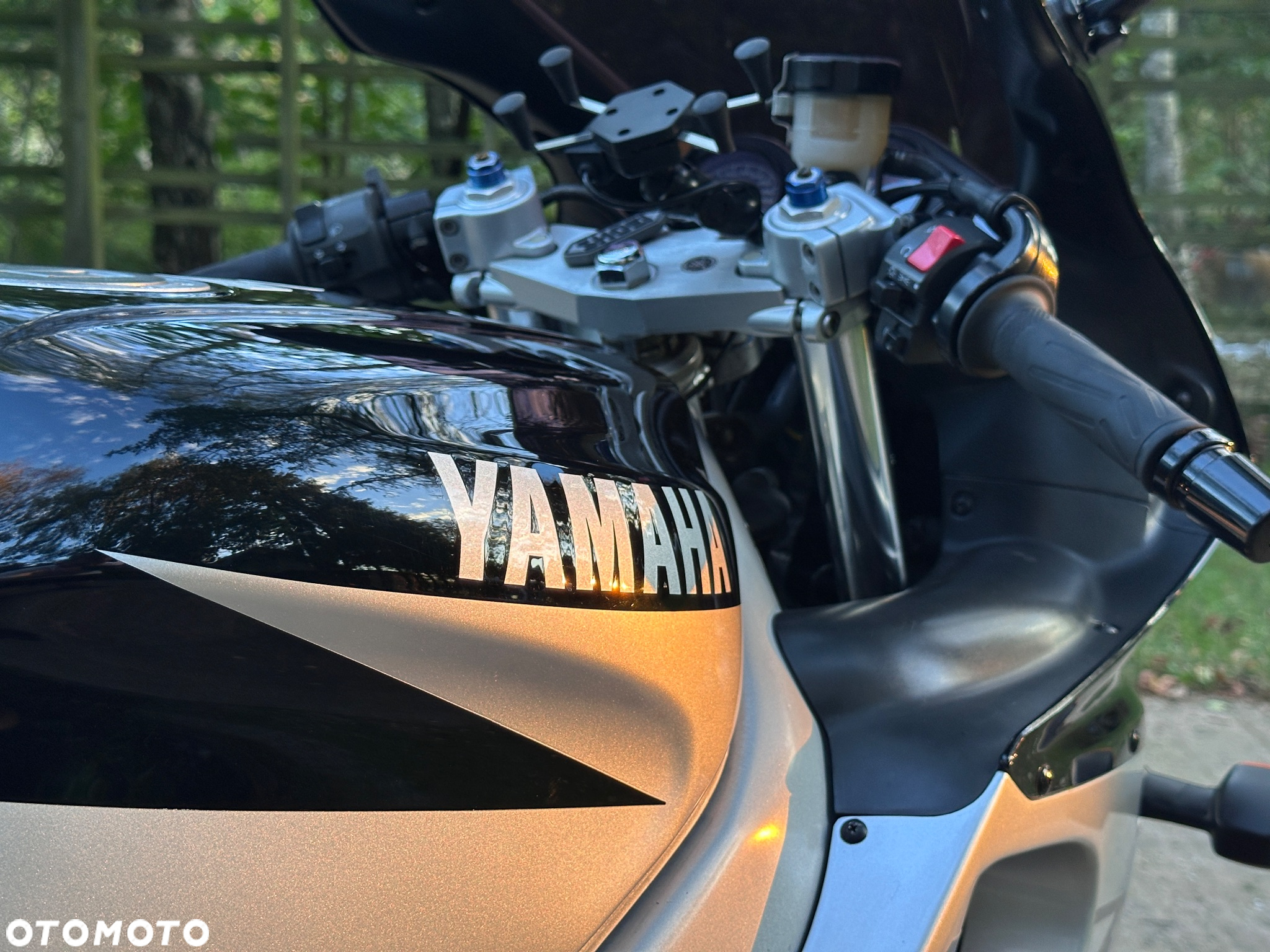 Yamaha Thundercat - 11