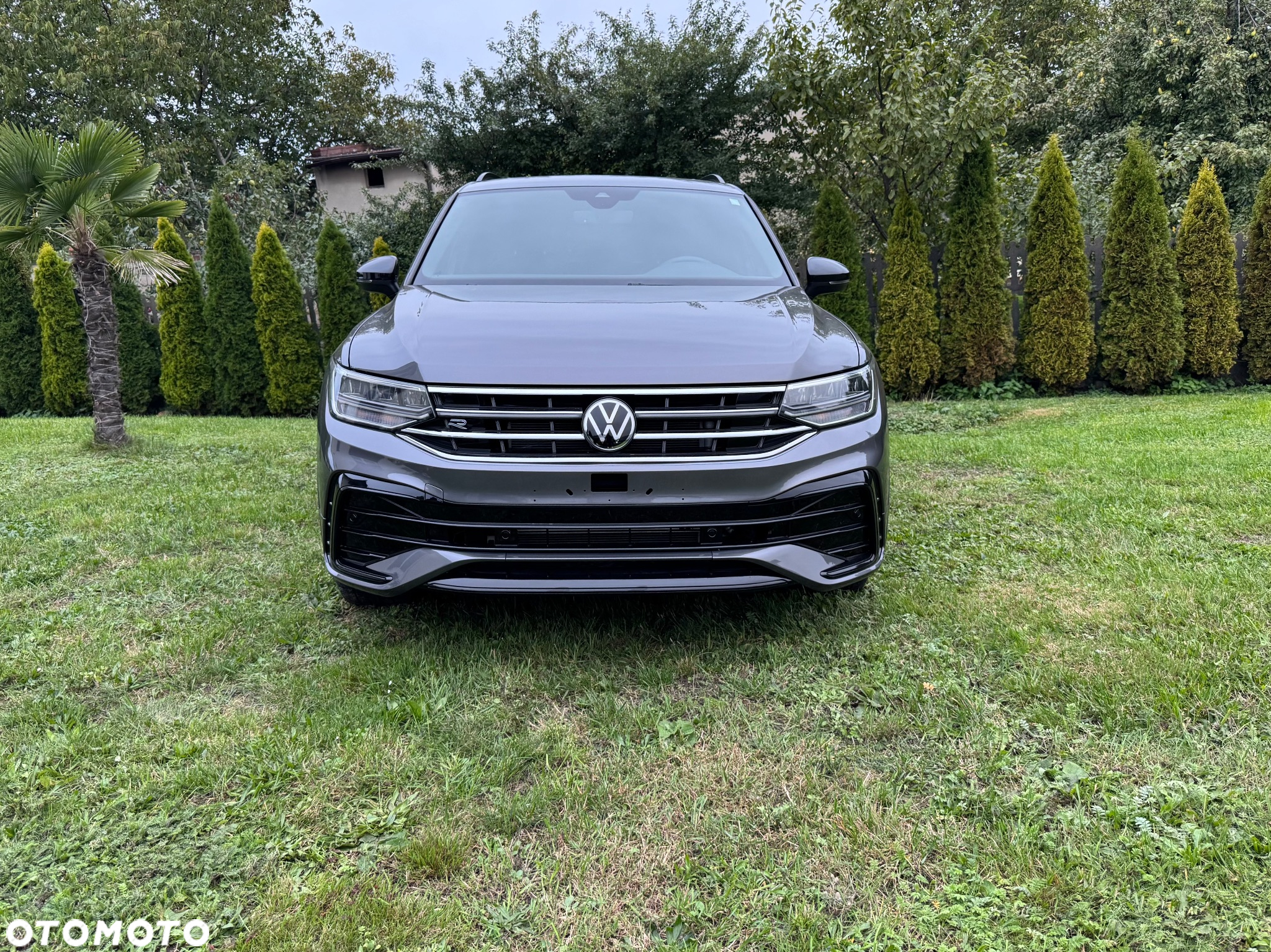 Volkswagen Tiguan - 2