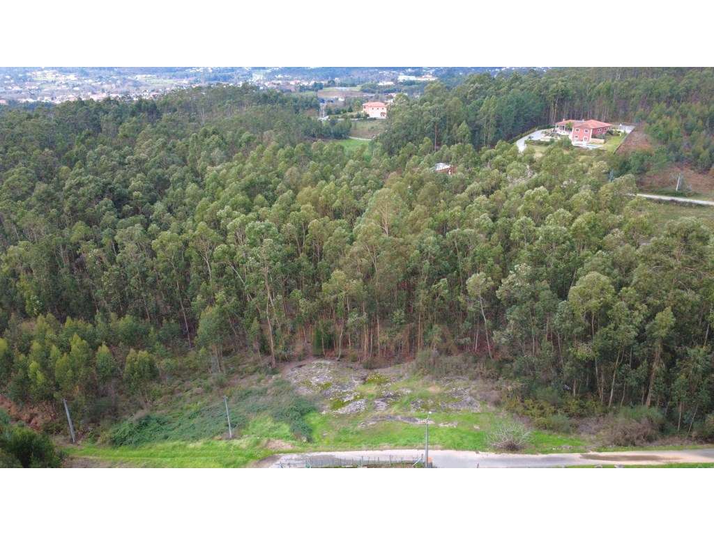 Terreno rústico 3.145 m² | Refoios do Lima, Ponte de Lima - Grande imagem: 2/6