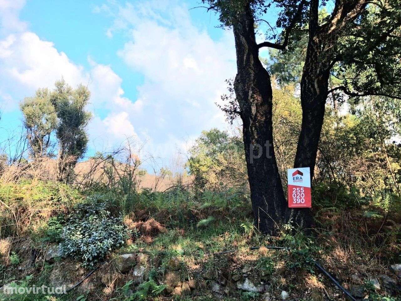 Terreno Rústico / Marco de Canaveses, Vila Boa do Bispo - Grande imagem: 2/4