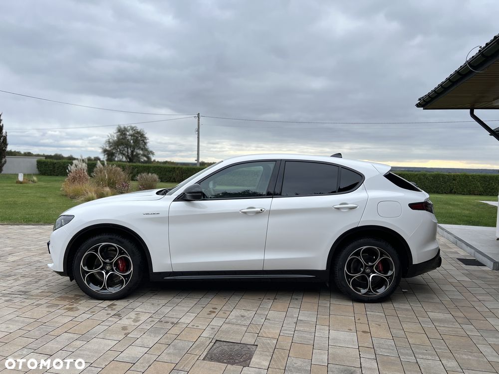 Alfa Romeo Stelvio 2.2 JTDM Veloce Q4 - 14