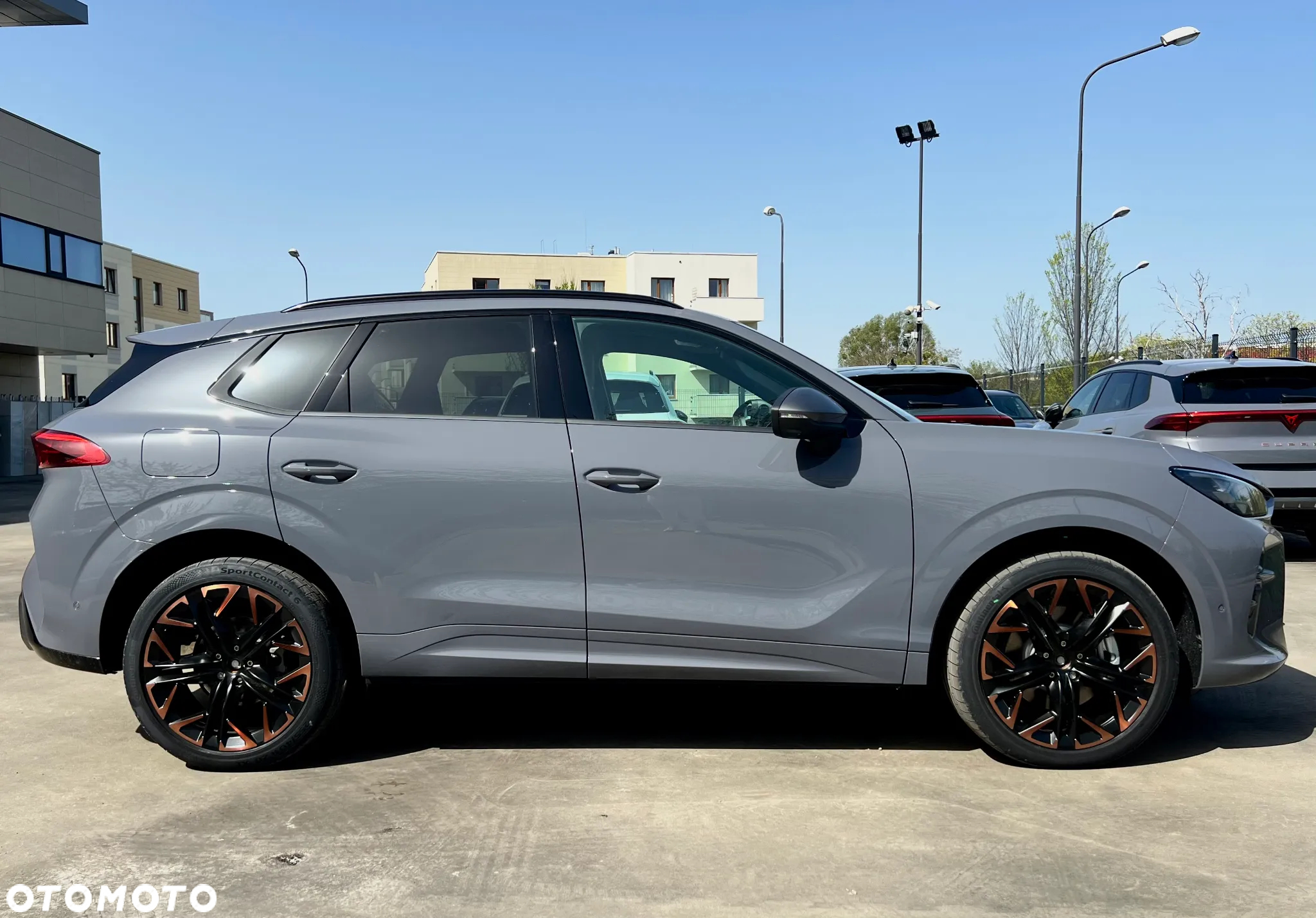Cupra Terramar 2.0 TSI 4Drive DSG - 7