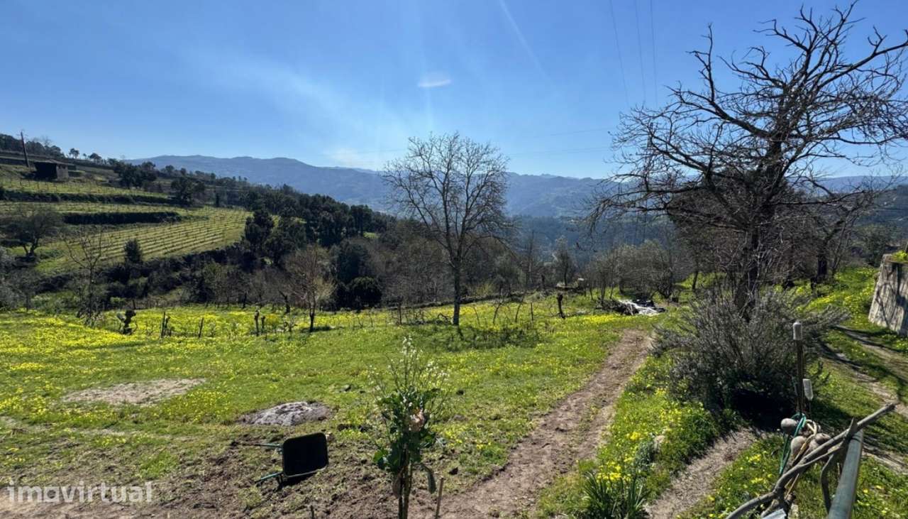 Venda Terreno, Sta. Cruz do Douro, Baião - Grande imagem: 3/28
