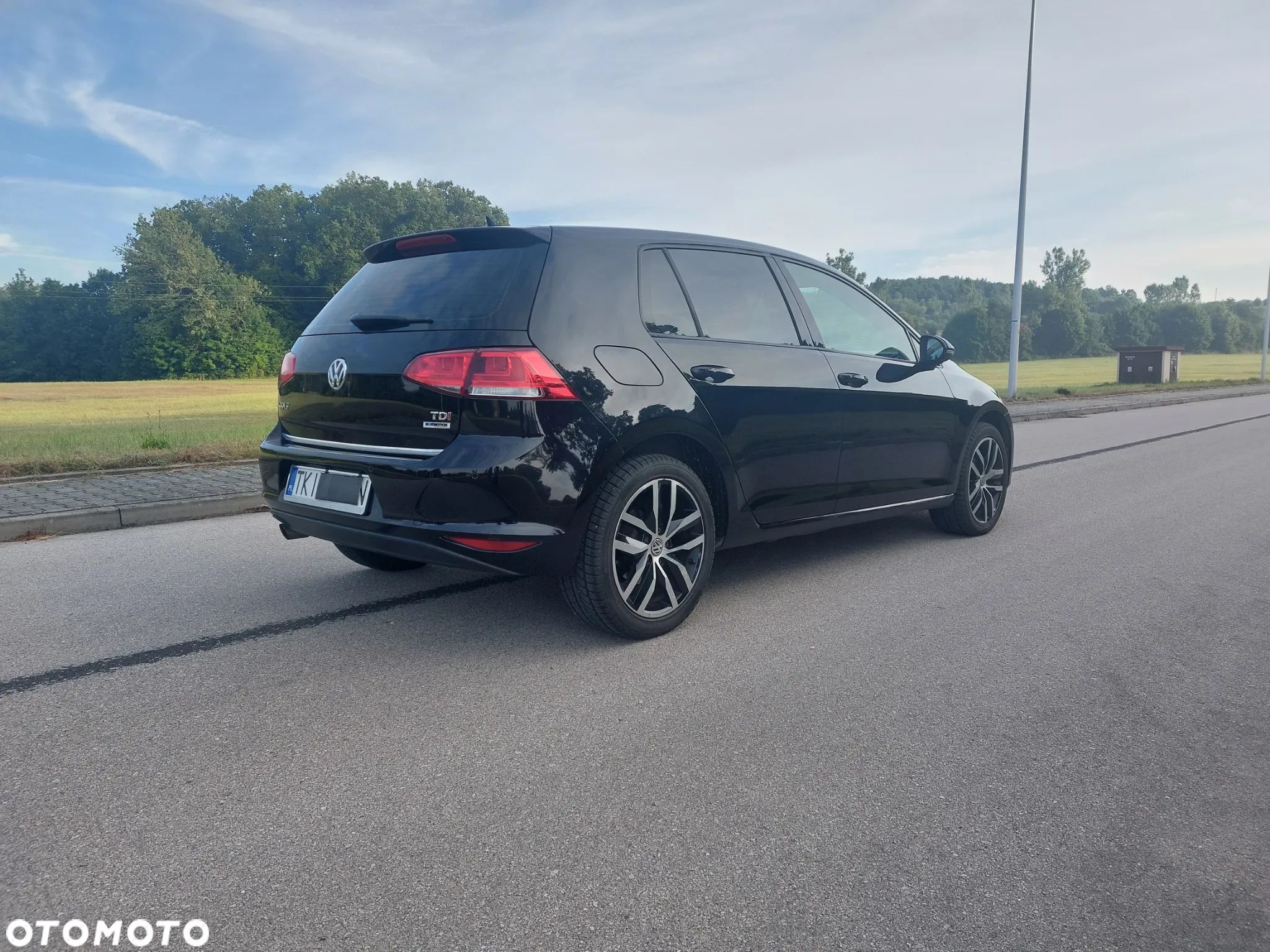 Volkswagen Golf - 8