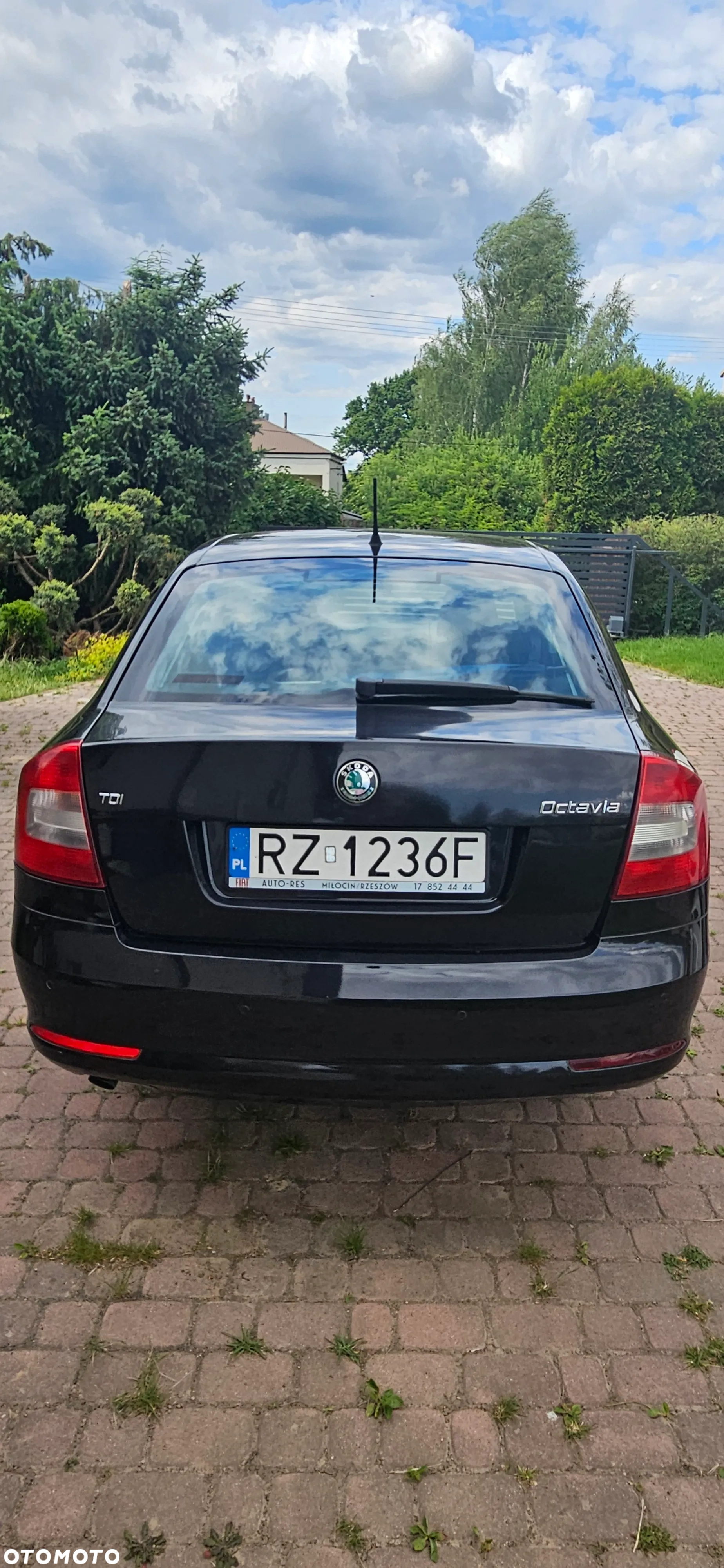 Skoda Octavia 1.6 TDI Classic - 3