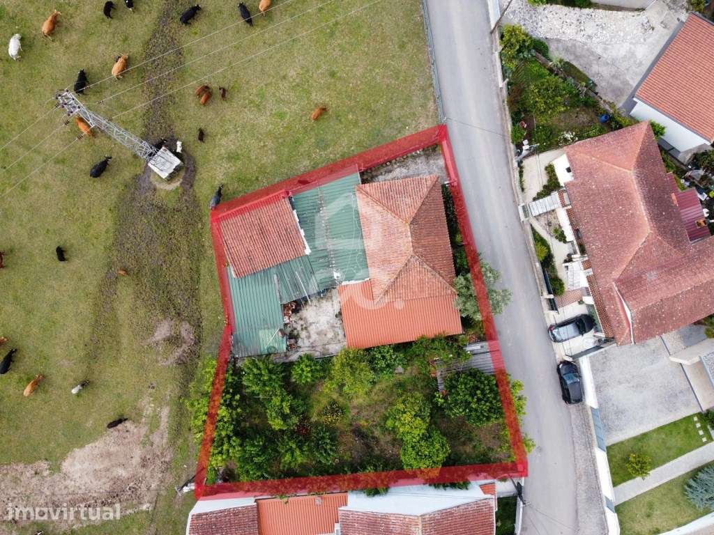 Moradia T3 Térrea em Brufe - Excelente Oportunidade de Investimento! - Grande imagem: 4/19