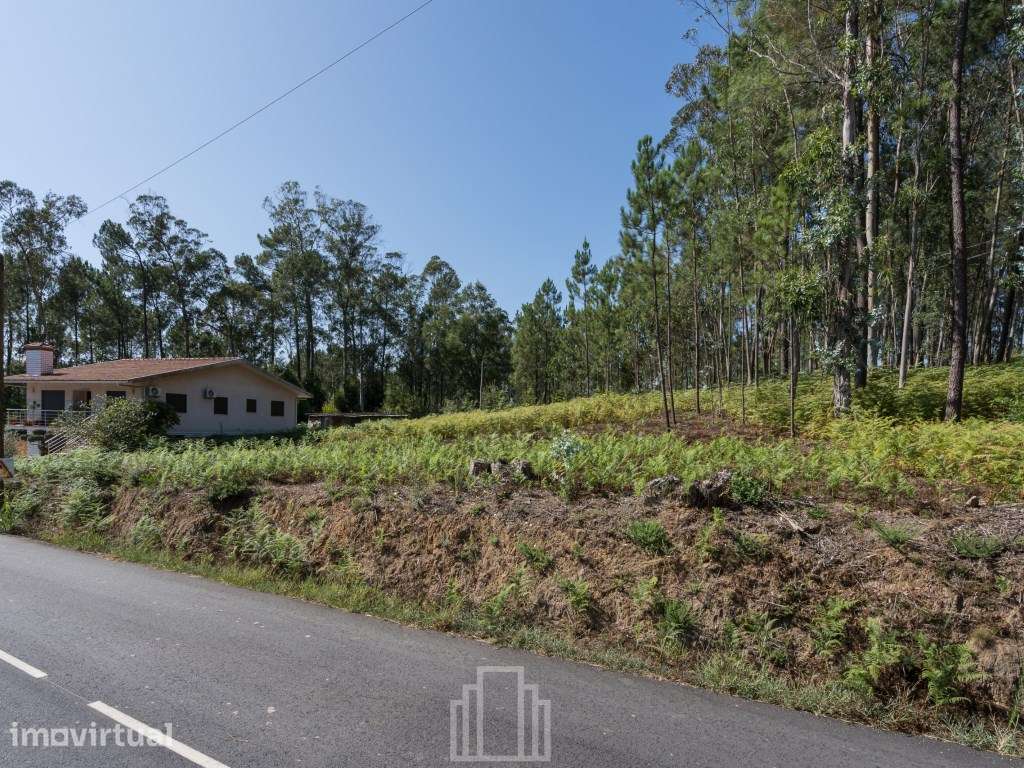 Terreno Rústico Urbanizável - São Vicente Pereira, Ovar - Grande imagem: 4/4