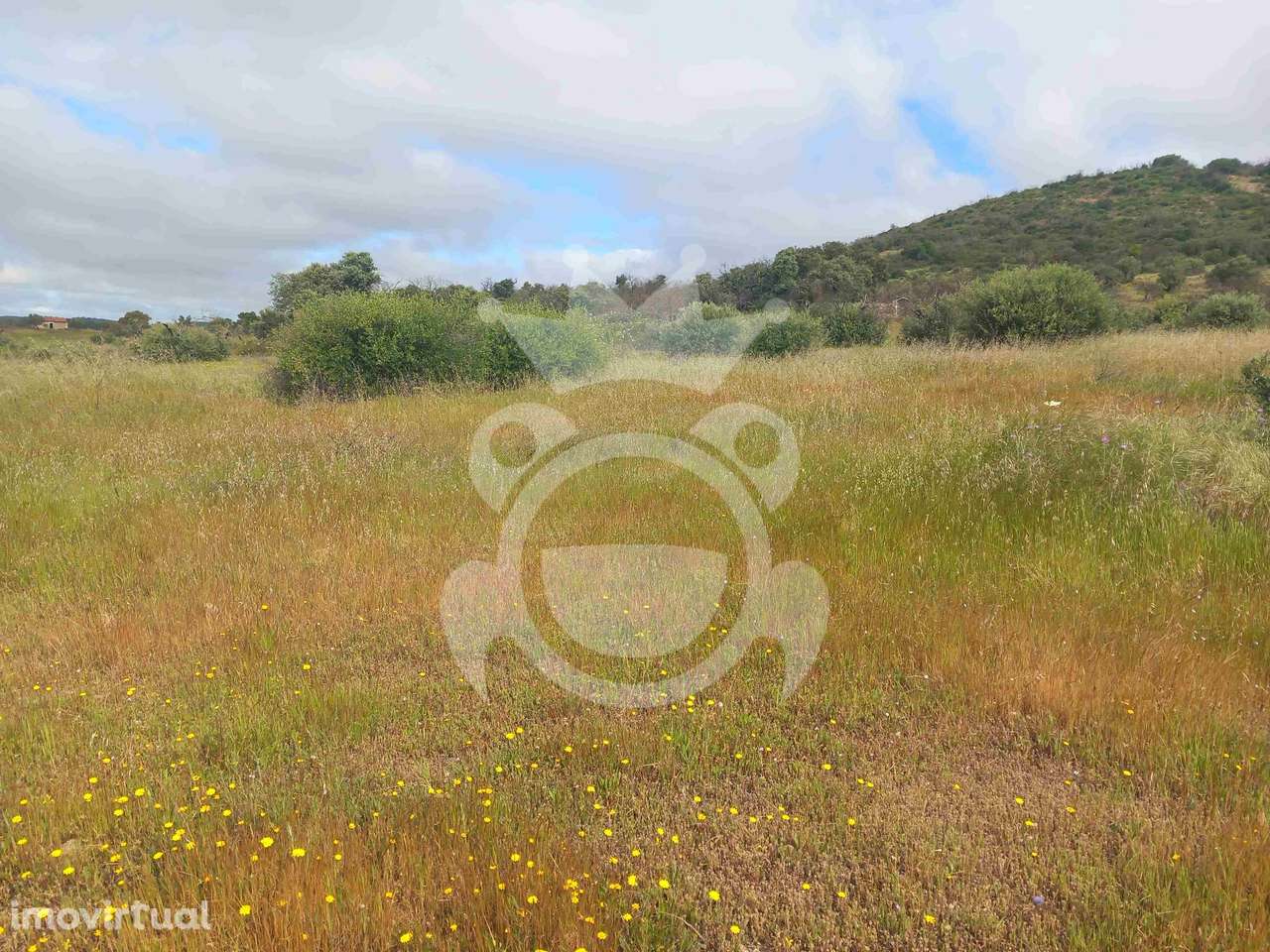 Terreno Rústico com ruína - 3Ha - Grande imagem: 3/14