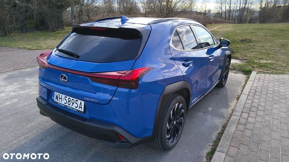 Lexus UX 250h GPF F Impression 2WD - 7