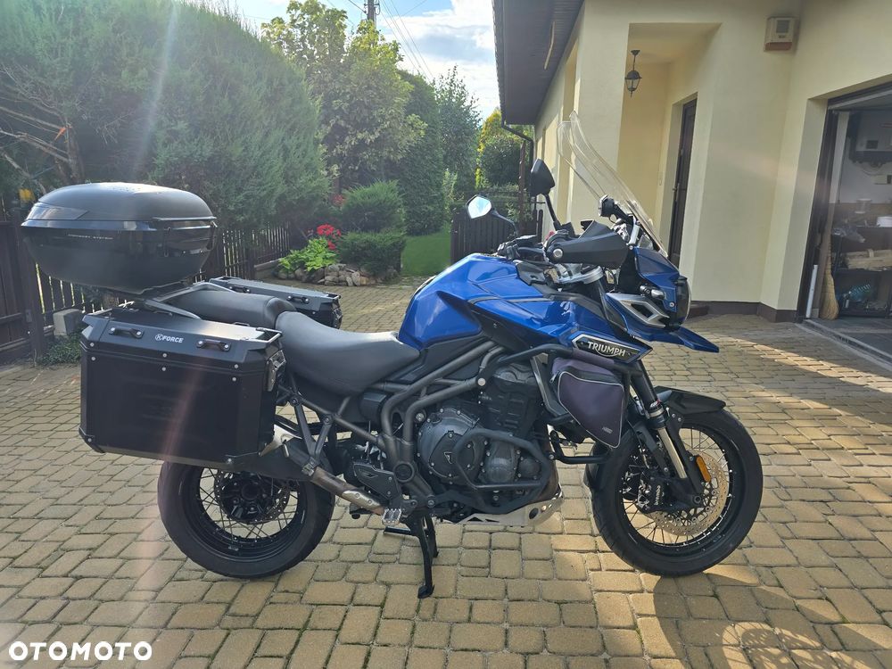 Triumph Tiger - 13