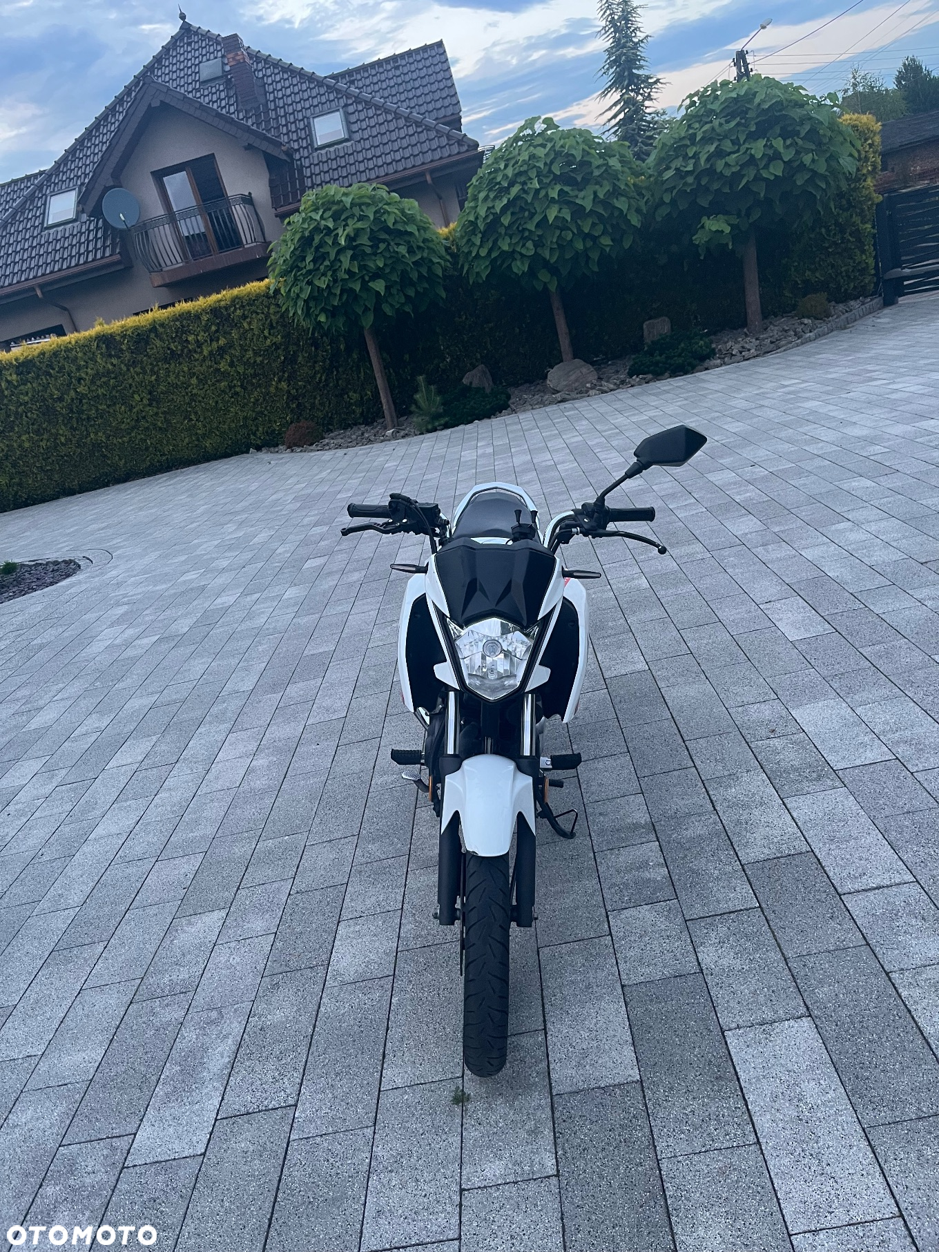 Honda CBF - 2