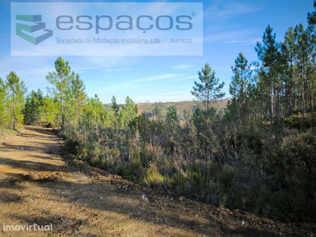 Terreno Rústico - Cerejeira - Grande imagem: 4/5
