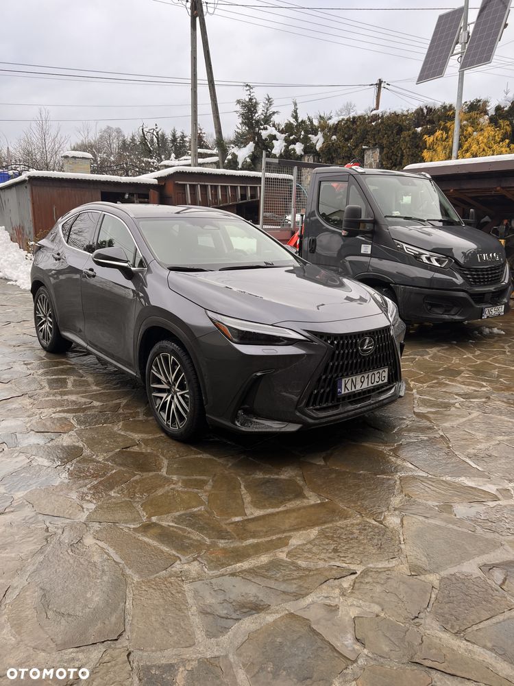 Lexus NX 450h+ Omotenashi AWD - 8