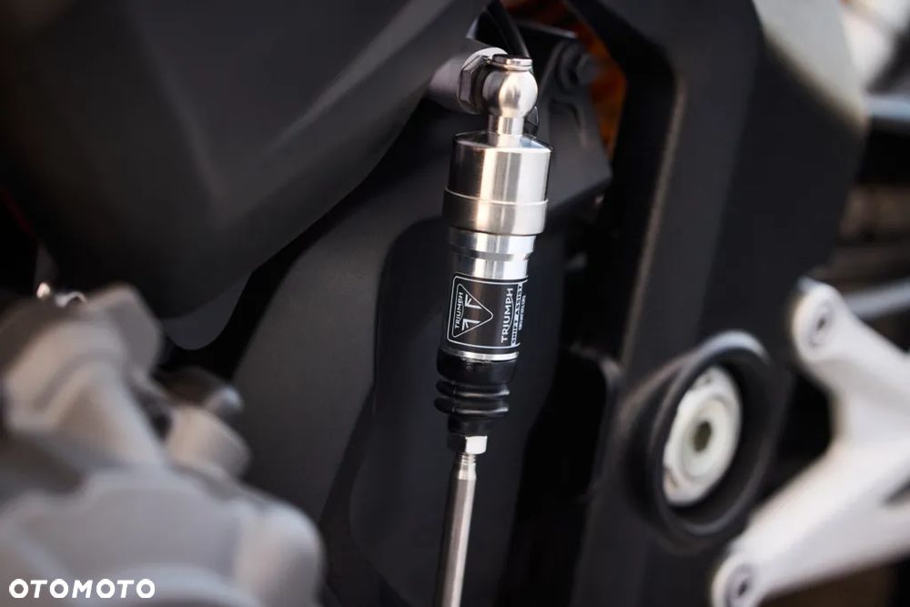 Triumph Speed Triple - 17