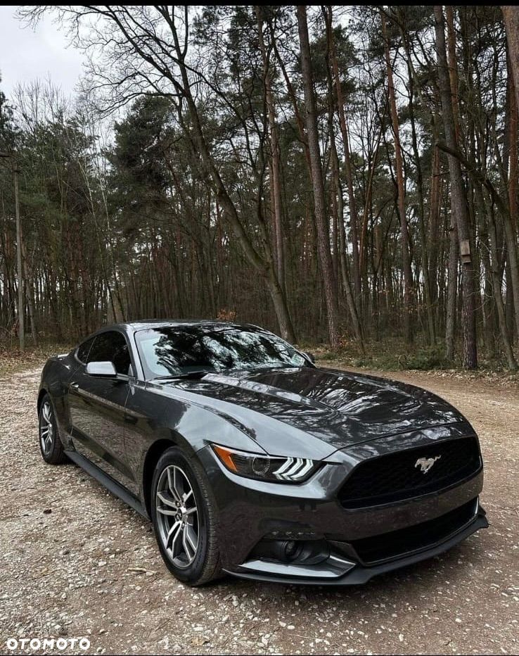 Ford Mustang 2.3 EcoBoost - 6